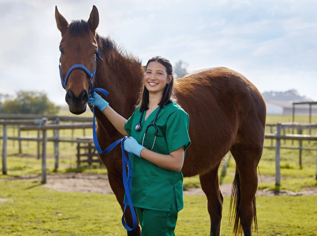 What Skills Are Needed To Be A Veterinarian Educationly